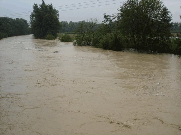 Hochwasser 23 08 05 05